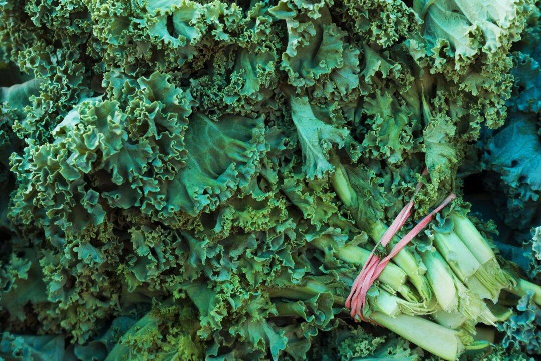 Kale’s Healthy Reputation Takes a Knock in ‘Dirty’ Pesticide Report