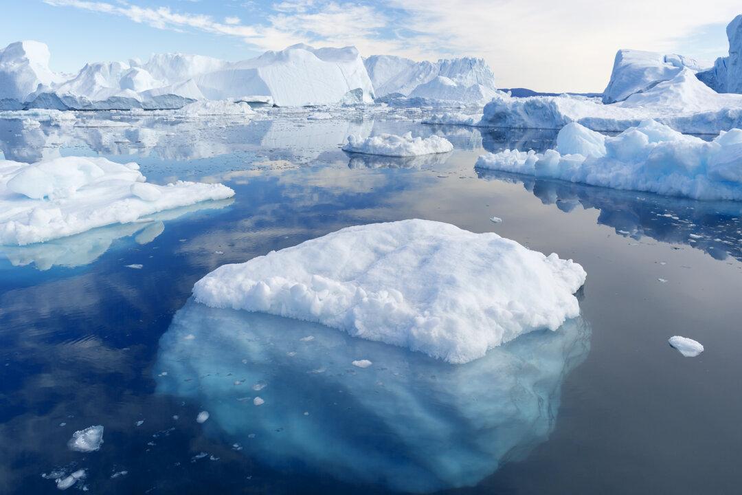 Discovery of a 400-Year-Old Greenland Shark Shatters World Record