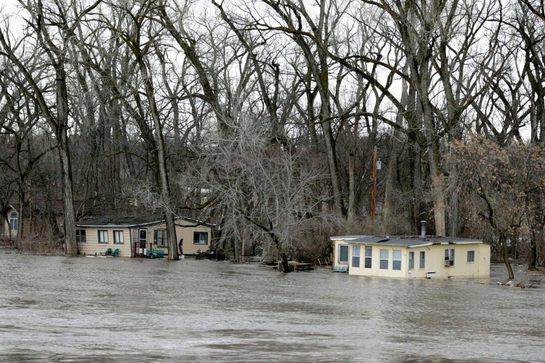 The Midwest Flooding Has Killed Livestock, Ruined Harvests and Has Farmers Worried for Their Future