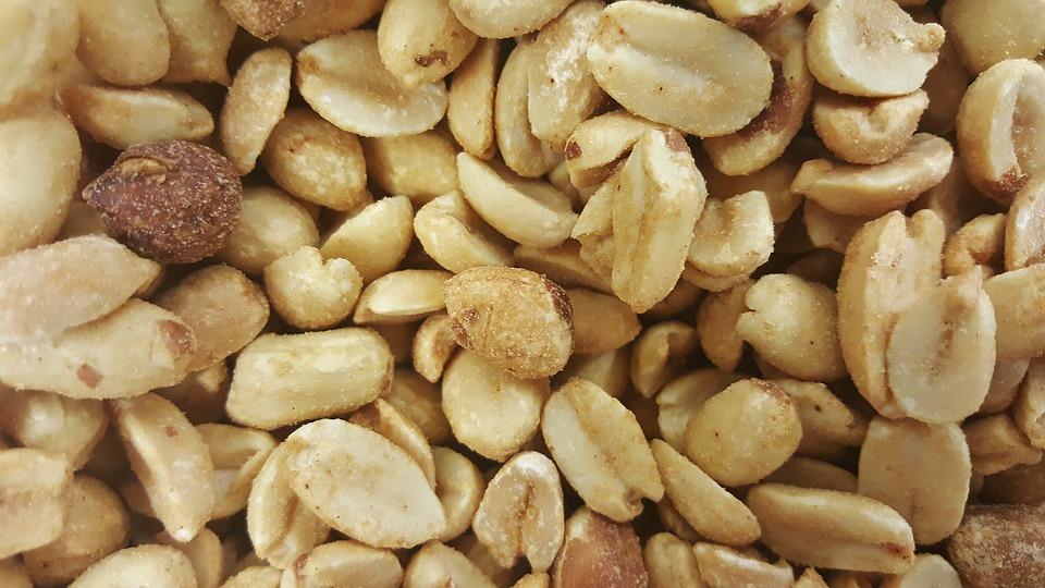 Two brothers flying from Atlanta to Seoul were asked to get down from the plane because the elder one is allergic to peanuts. (Bret Hondow/Pixabay)