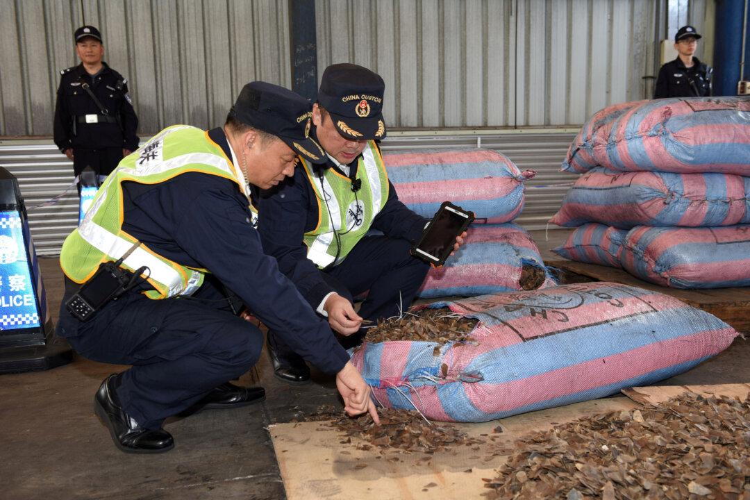 As China Pushes Traditional Medicine Globally, Illegal Wildlife Trade Flourishes