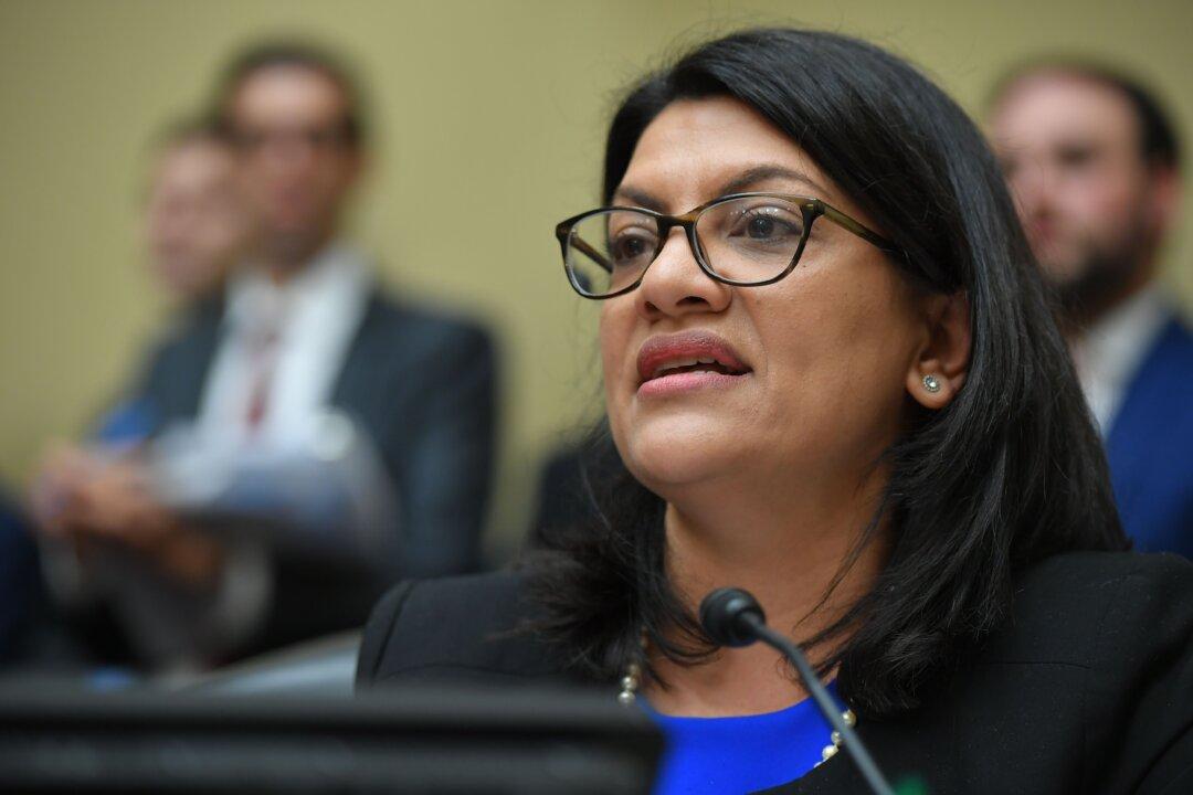Rashida Tlaib Reveals She Gave Anti-Trump Gift to Every Freshman Member of Congress