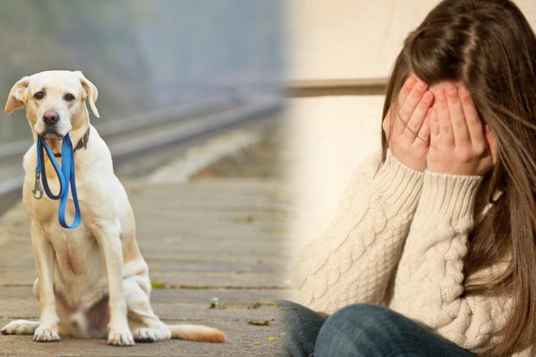 Losing Your Pet Can Be Heartbreaking, Here Are Some Hints on How to Cope