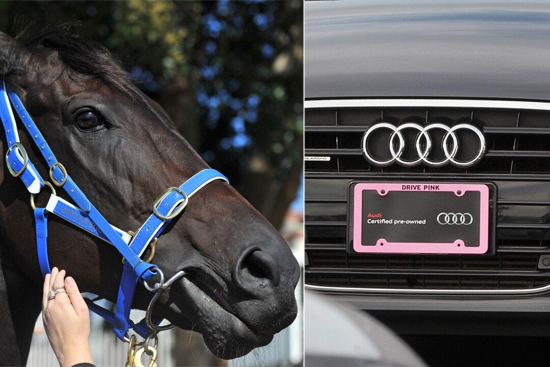 Horse Tied to Car Trots Along Roadside, Driver Fined