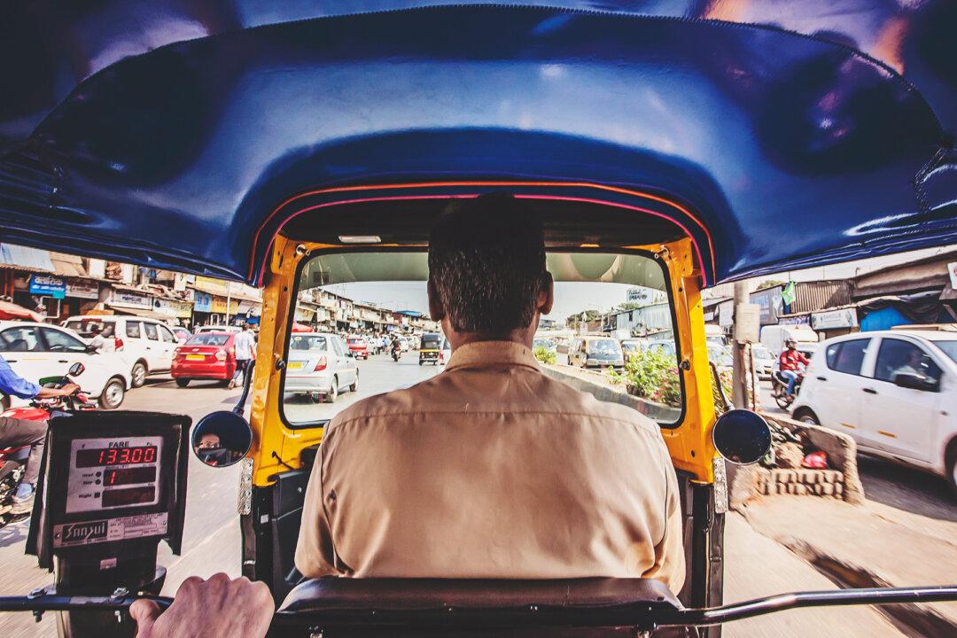 Rickshaw Drivers Spot Electrocuted Monkey in Distress, and Drop Everything to Save Her