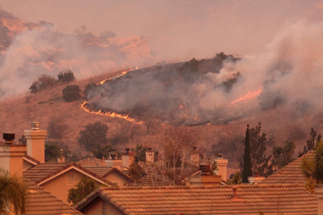 Reporter Covering Wildfires Dumbfounded Seeing These Teeth — Plans a Genius Way to Help