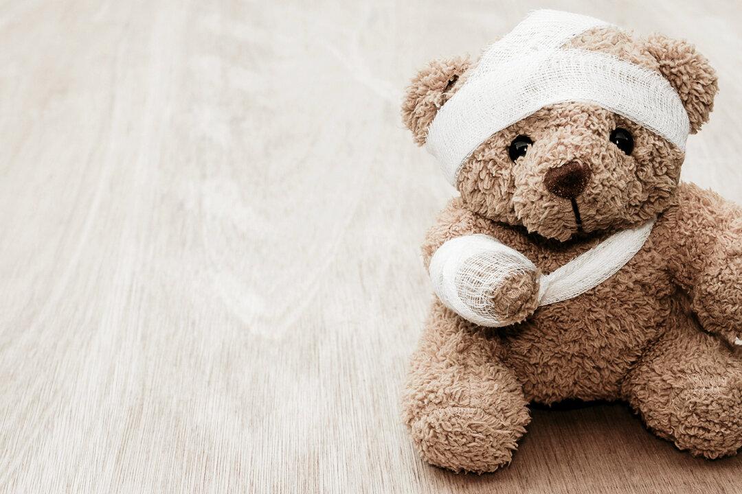 Dad Rescues Family Dog’s Stuffed Bear and Turns It into an Epic Story for His Daughter