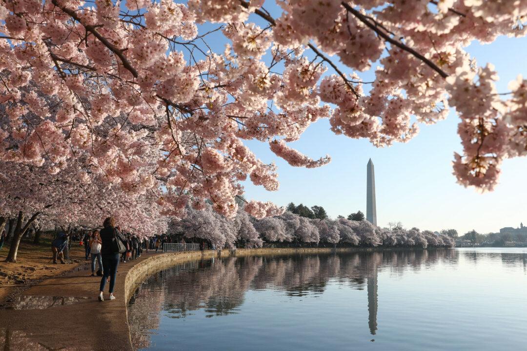 Meditations in a Political Toolshed