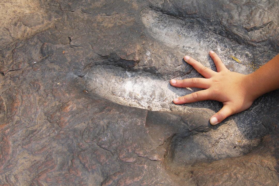 Scientists Uncover Fossils from the Day the Asteroid Strike Wiped Out the Dinosaurs