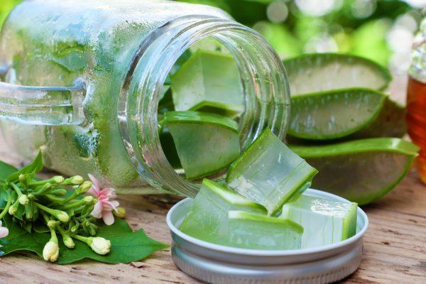 Aloe vera cubes (Xuanhuongho/Shutterstock)