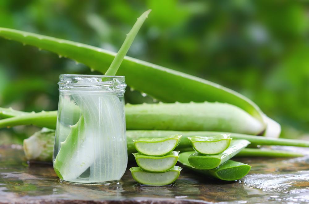 9 Health Benefits of Aloe Vera–#4 Fights Tumor and Boosts Immune System