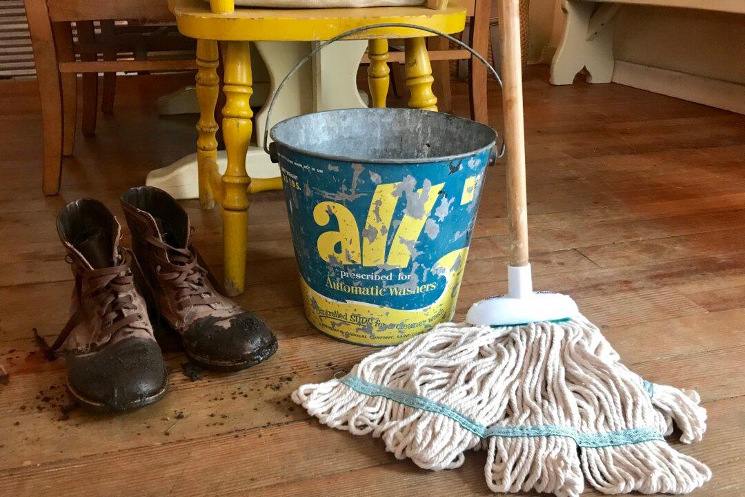 A Berkshire Journal: Spring Cleaning