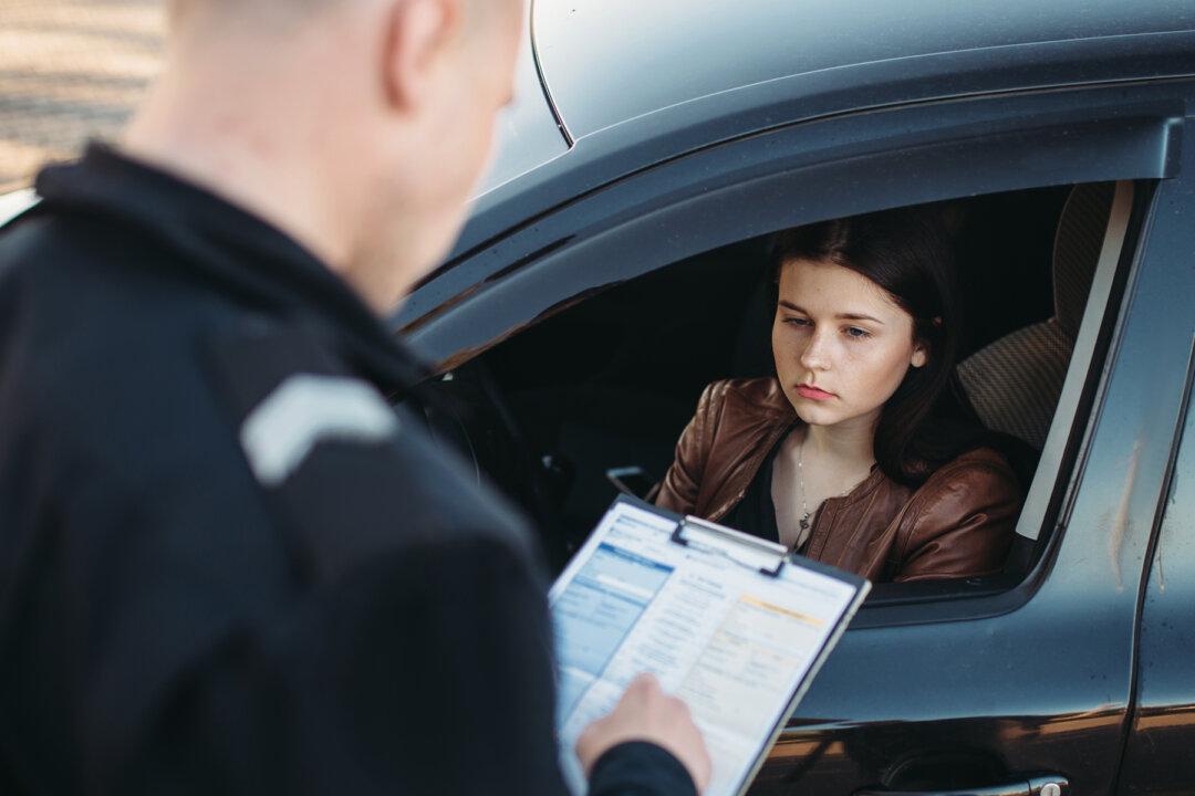 Love at First Sight: Policeman Stops Teacher at a Checkpoint, a Year Later They Marry