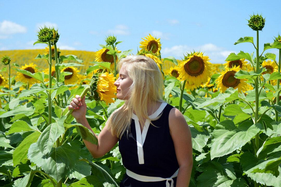 Woman Records Sunflowers ‘Singing,’ It Sounds Like Music From Other Dimension