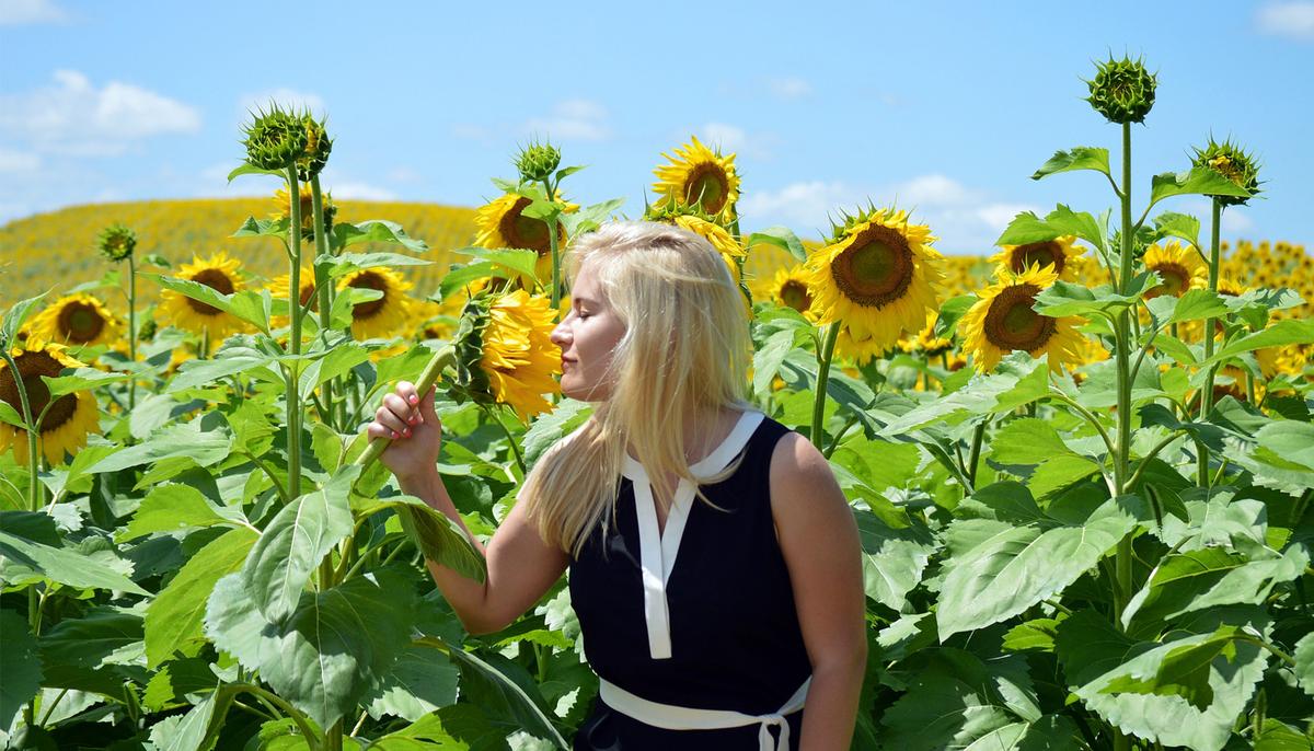 Woman Records Sunflowers ‘Singing,’ It Sounds Like Music From Other Dimension