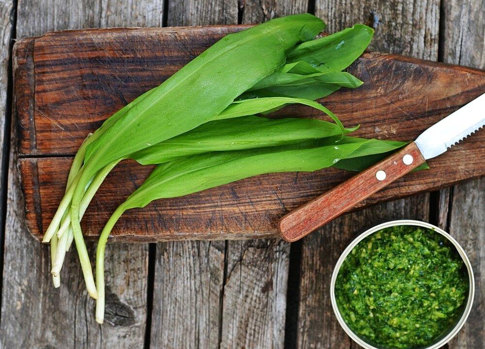 A Berkshire Journal: Easter in the Forest