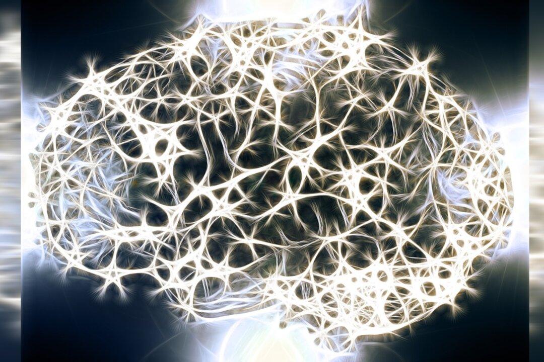 Scientist Says When We Die Our Brains Know We are Dead