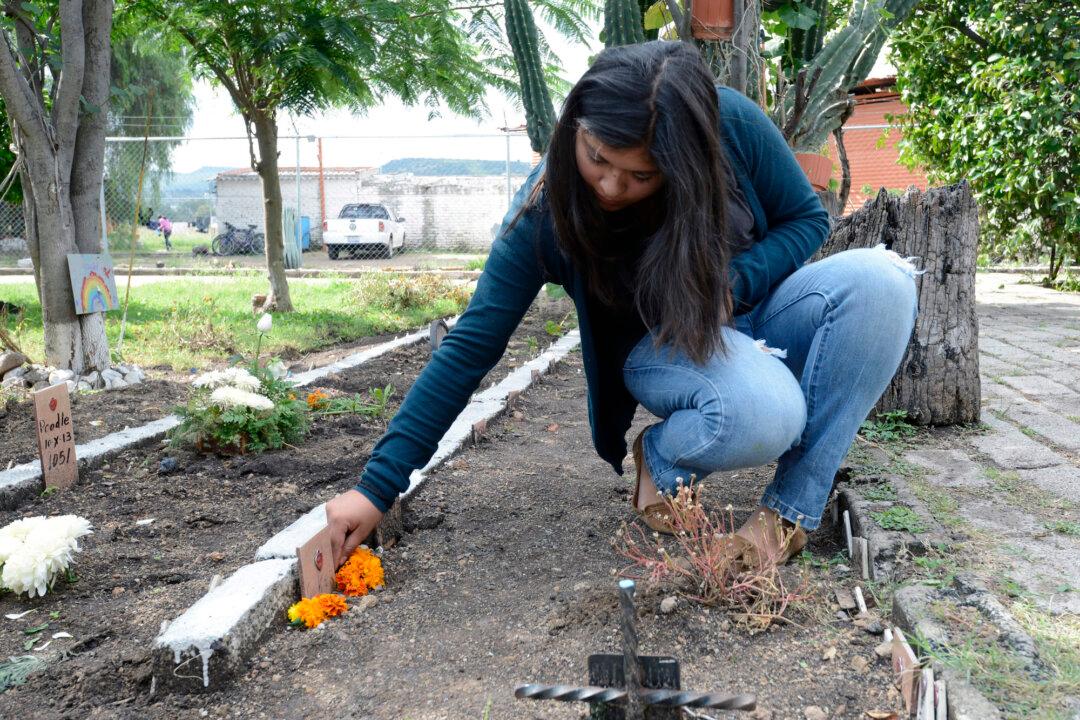 Dog Claws Its Way Out of Grave, Reunited With Owners Who Spotted Video on Social Media