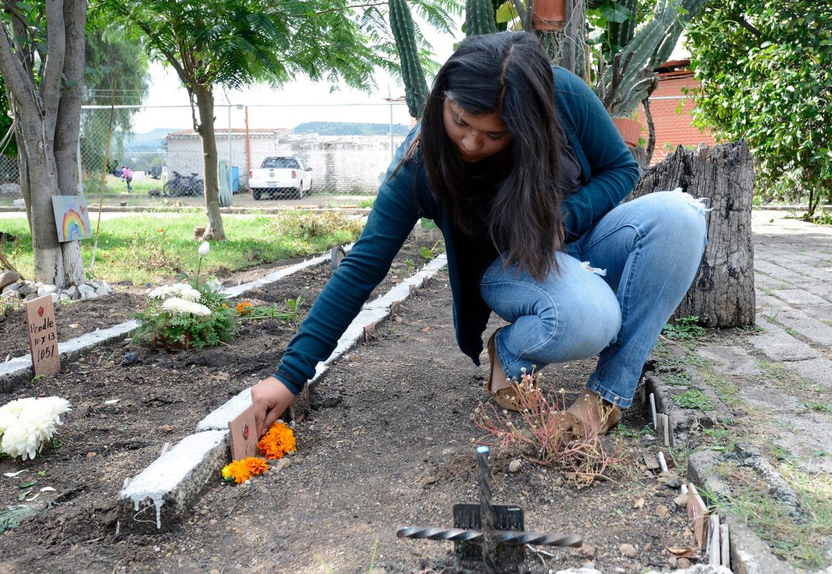 Dog Claws Its Way Out of Grave, Reunited With Owners Who Spotted Video on Social Media