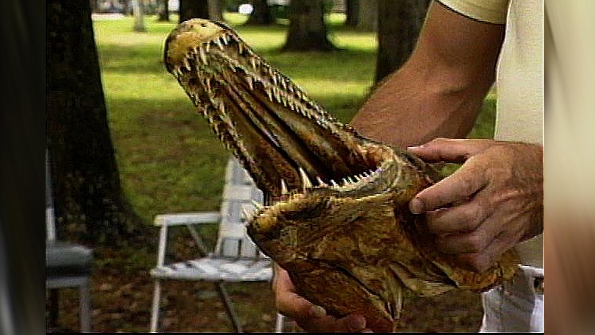 Man Catches 6-Foot ‘Pre-Historic’ Fish While Bowfishing in Oklahoma Lake