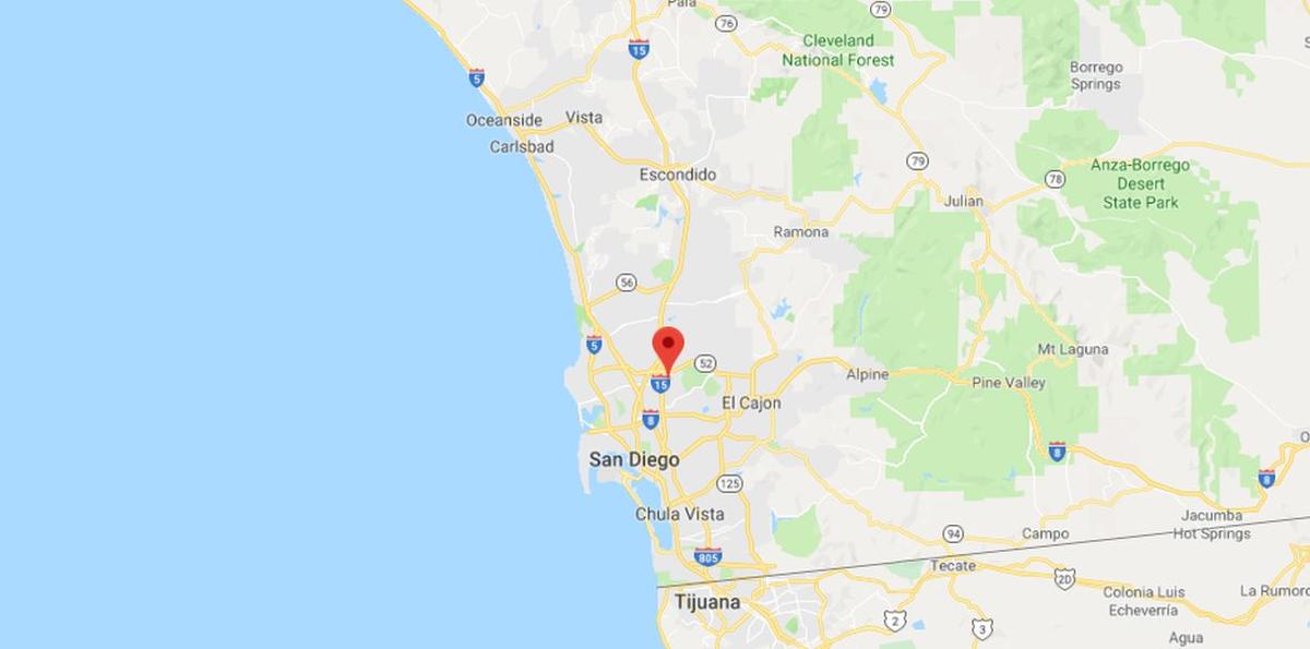 Hiker Finds Cute ‘Abandoned Puppy’ That Turned out to Be a Wild Animal Estonian