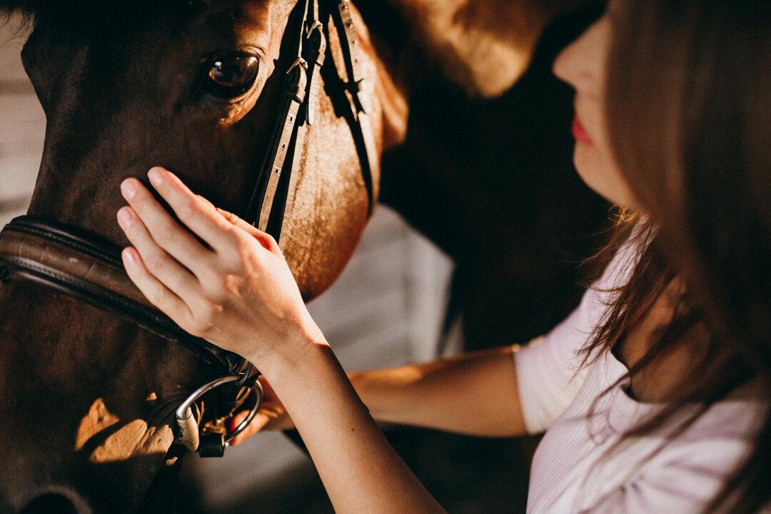 Woman Rushes to Rescue 1000lb Horse Stuck in Deep Ditch As High Tide Approaches