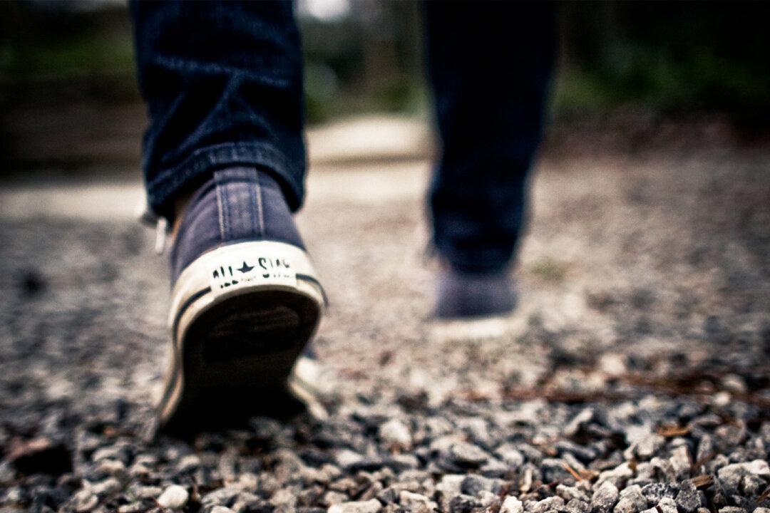 Curious Cops Pull Over for Stopped Teen Only to See Him Doing CPR on Tiny Creature He Hit