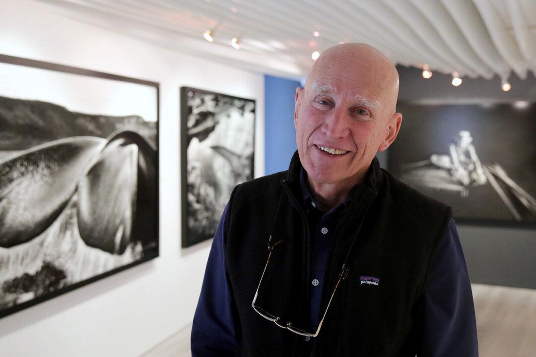 Brazilian Man Plants 4 Million Saplings Over 20 Years to Reforest His 1,500-Acre Ranch