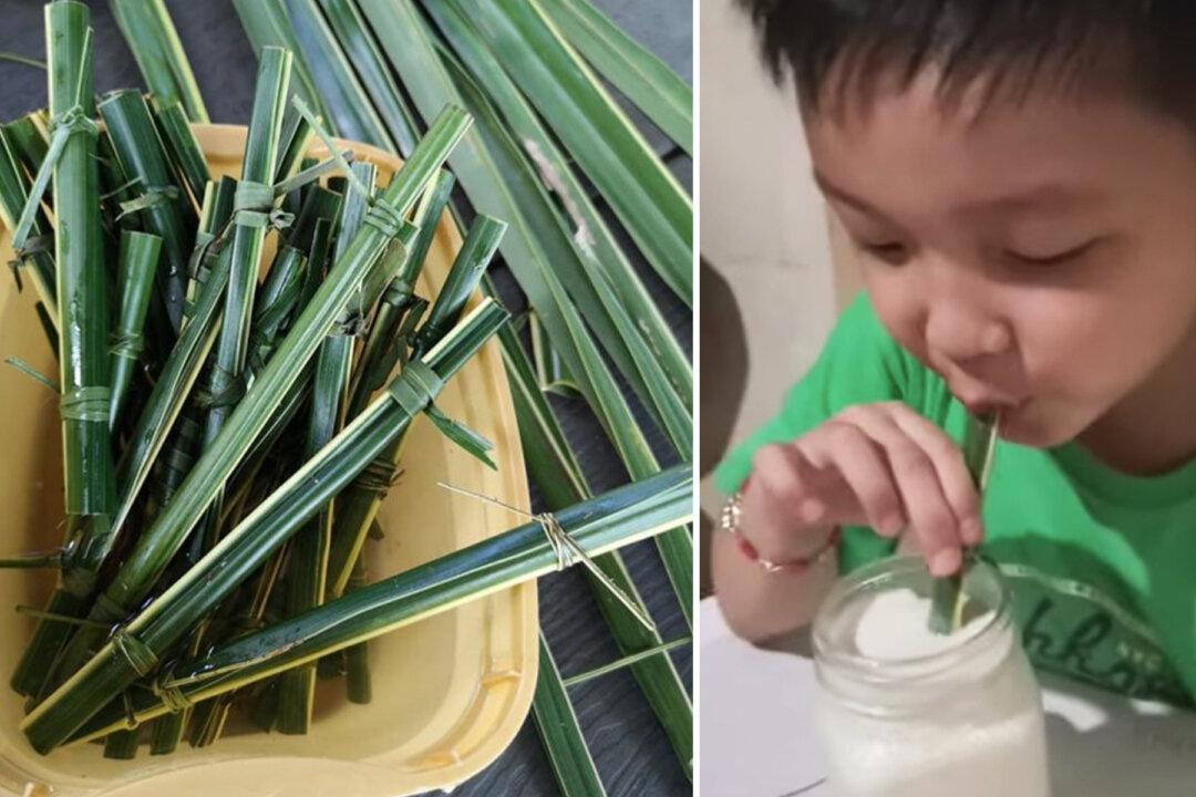 Cafe Introduces ‘Green’ Straws — What They’re Made From Is Impressing Customers