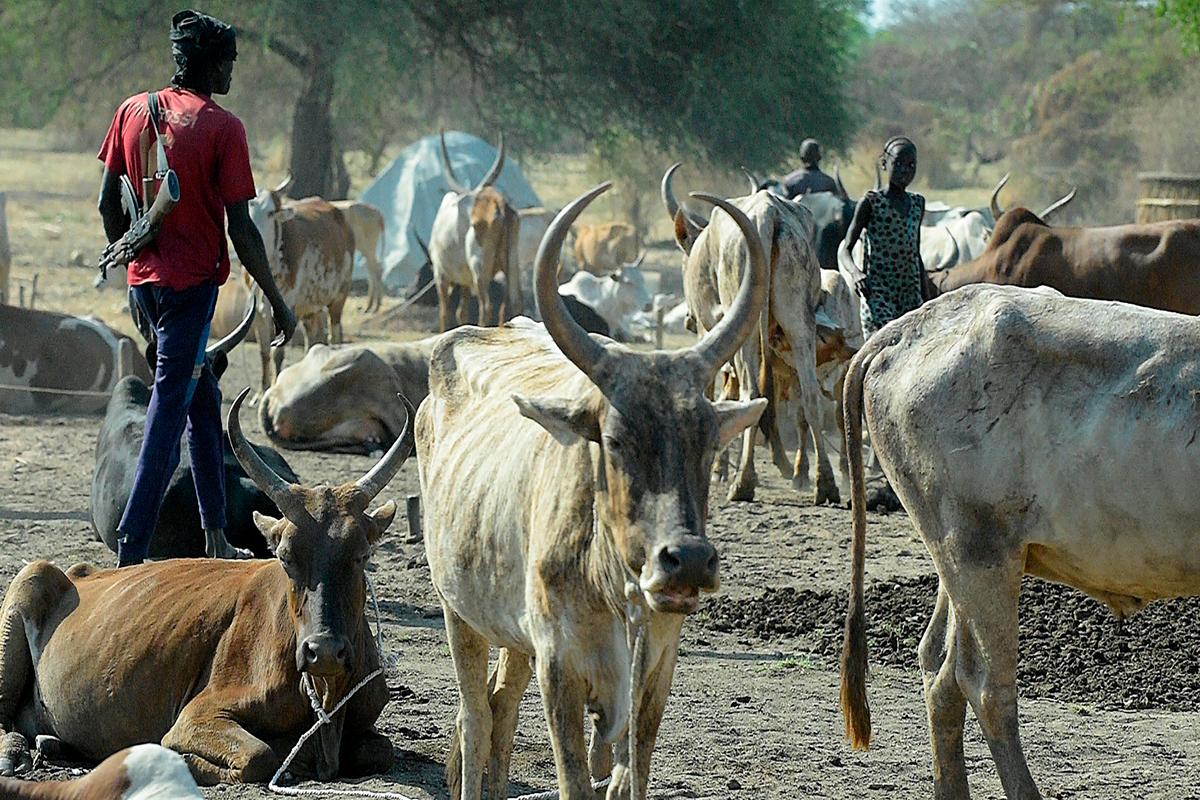 Woman Beaten to Death by Family for Refusing to Marry for 40 Cows