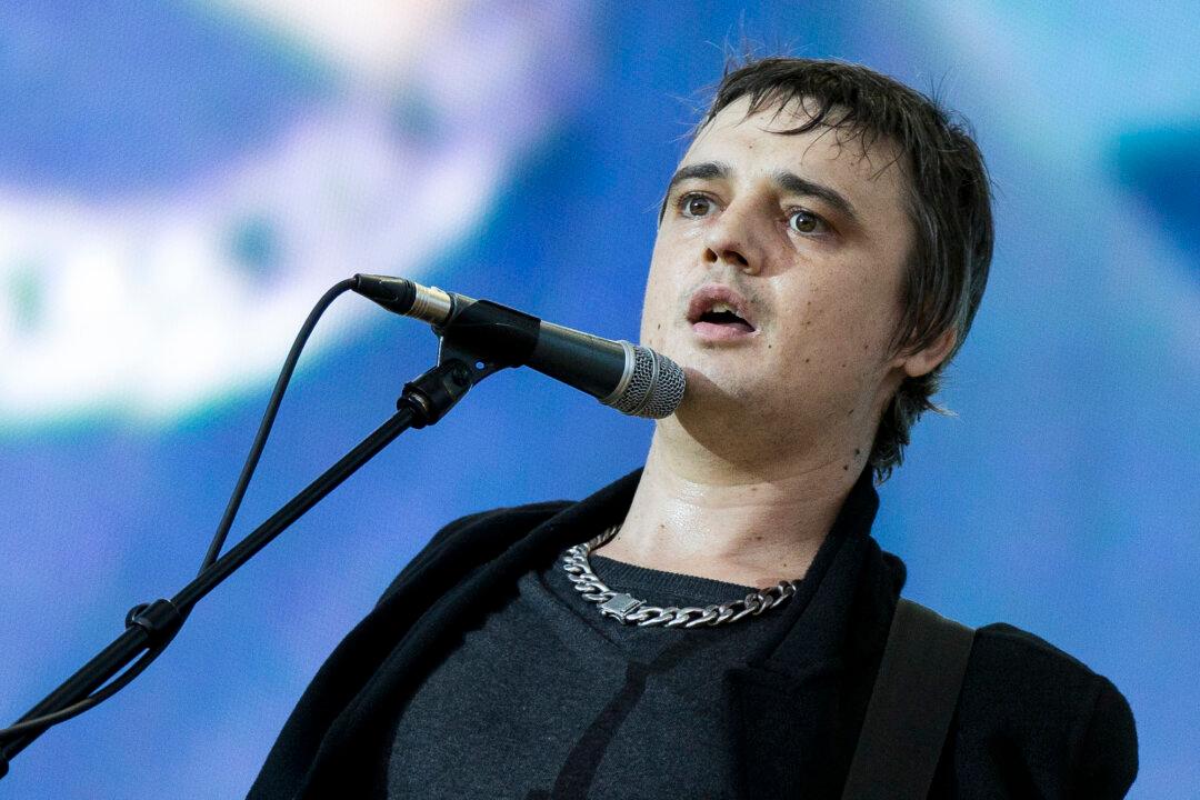 British Musician Pete Doherty Hospitalized After Getting Stabbed by Hedgehog Spike