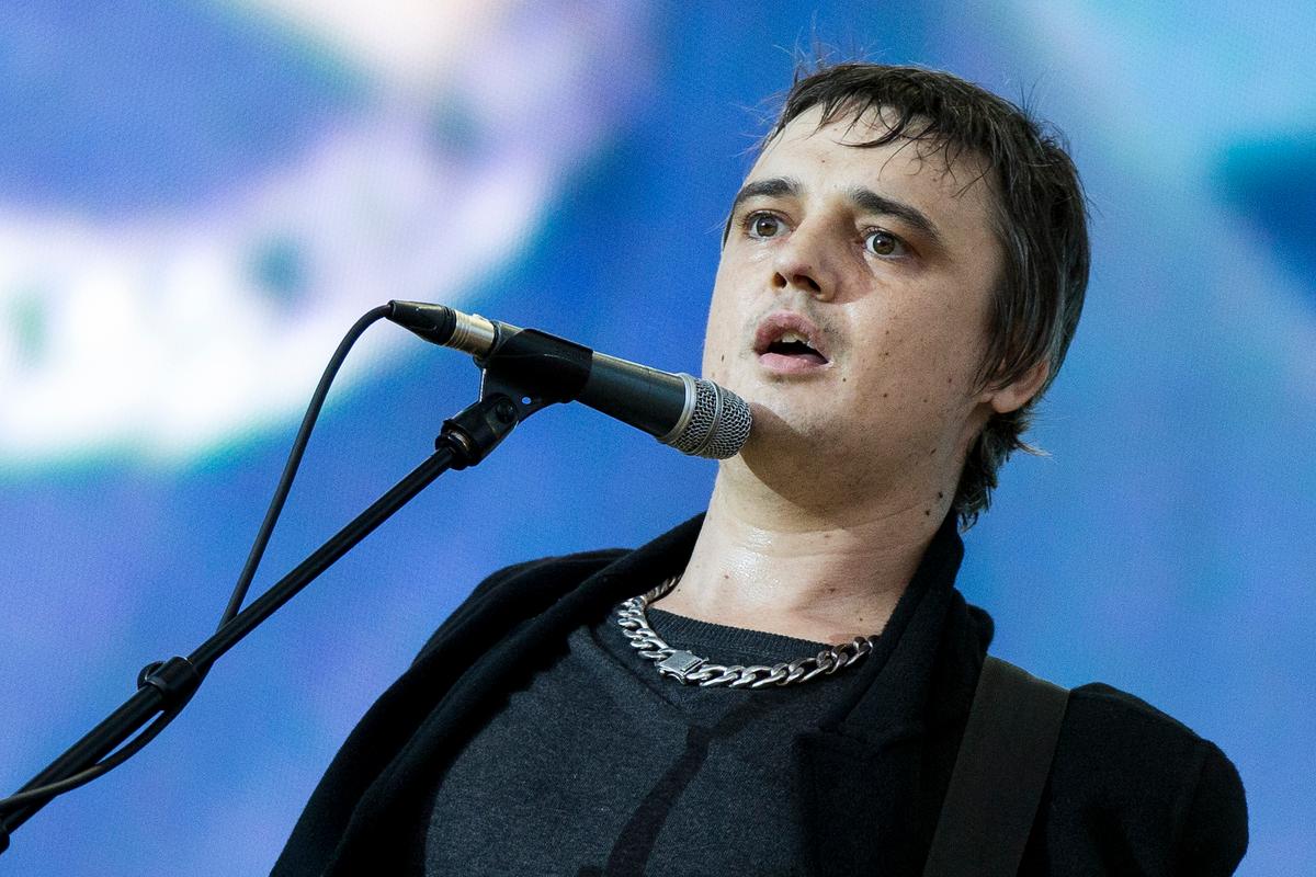 British Musician Pete Doherty Hospitalized After Getting Stabbed by Hedgehog Spike
