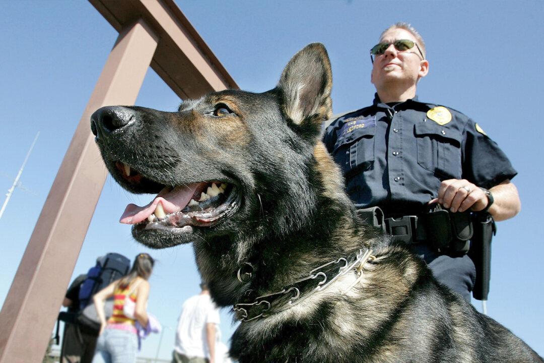 California to Consider Banning ‘Racist’ Police K-9s for Arrests, Crowd Control
