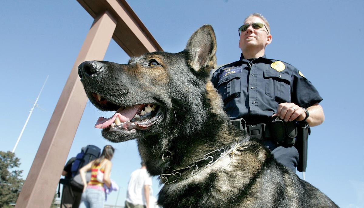 California to Consider Banning ‘Racist’ Police K-9s for Arrests, Crowd Control