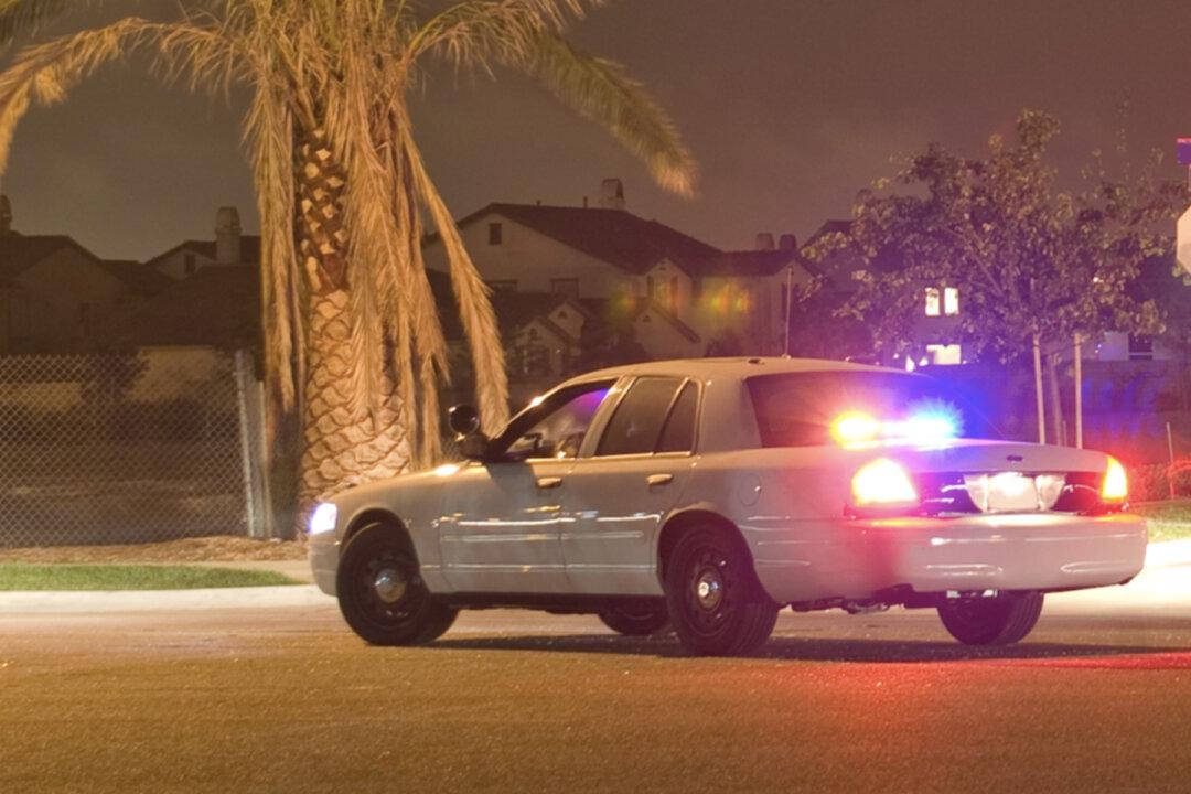 Cops Find Injured Pit Bull on Road at 4am & Cuddle Up With Her Until Animal Services Arrive