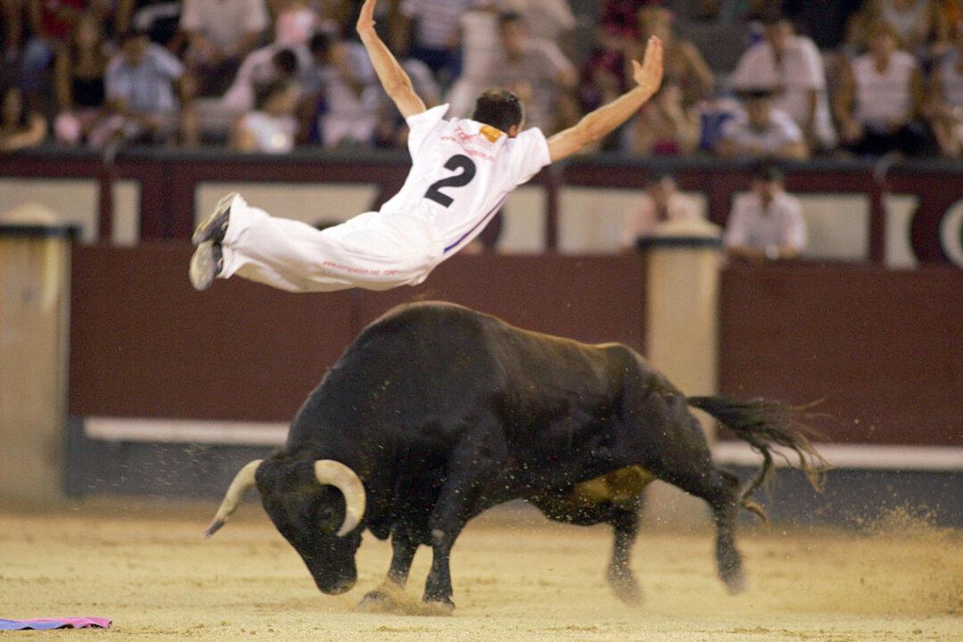 Teenage ‘Bullfighter’ Gored to Death at Spanish Festival