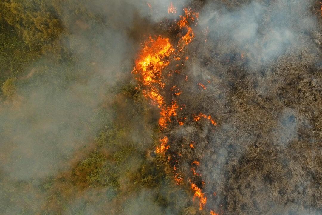 Holy FirePhotos of Firefighters Caring for Exhausted Deer Go Viral, Winning Praise