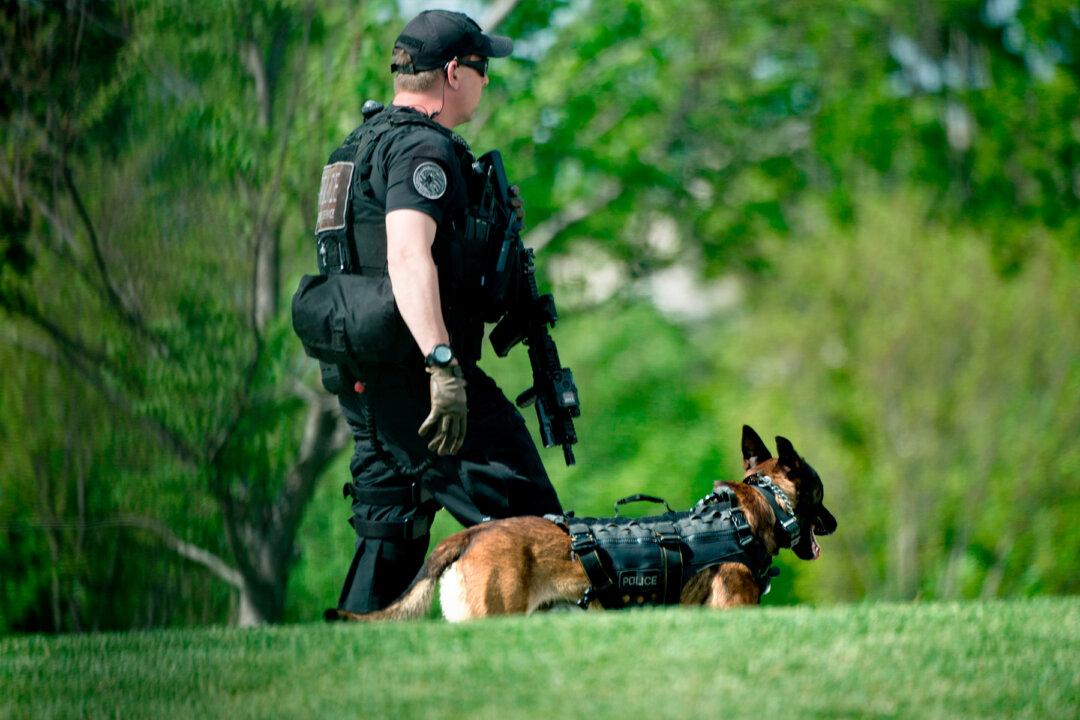 K-9 Ballistic Vest Fund Supplies Dozens of Bulletproof Vests to Police Dogs Across USA