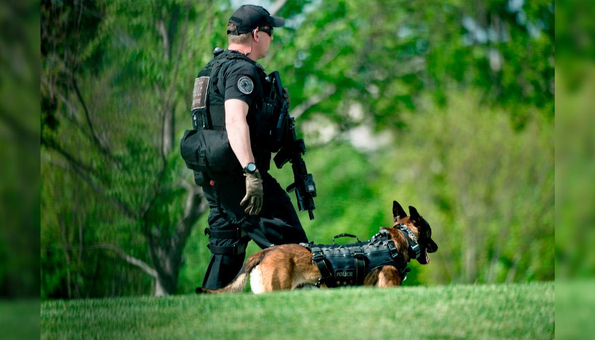 K-9 Ballistic Vest Fund Supplies Dozens of Bulletproof Vests to Police Dogs Across USA