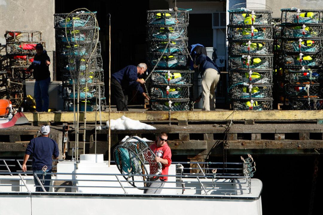 Trump Administration to Issue Additional 30,000 Visas for Temporary Workers