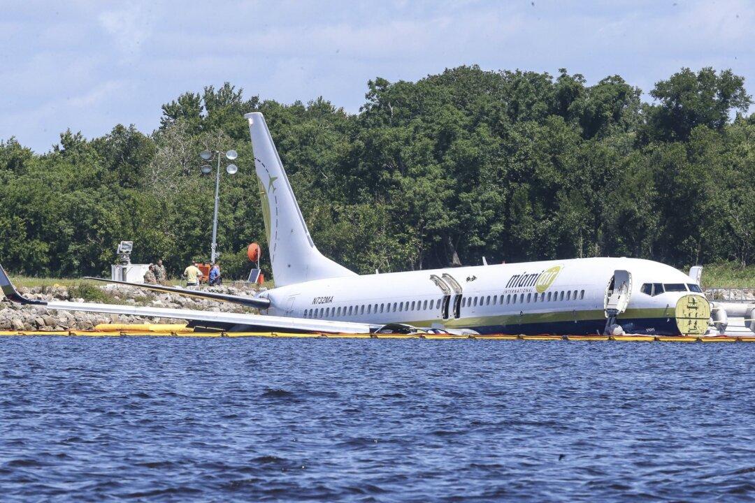 Missing Pets Involved in Jacksonville Plane Crash Found, Says US Navy