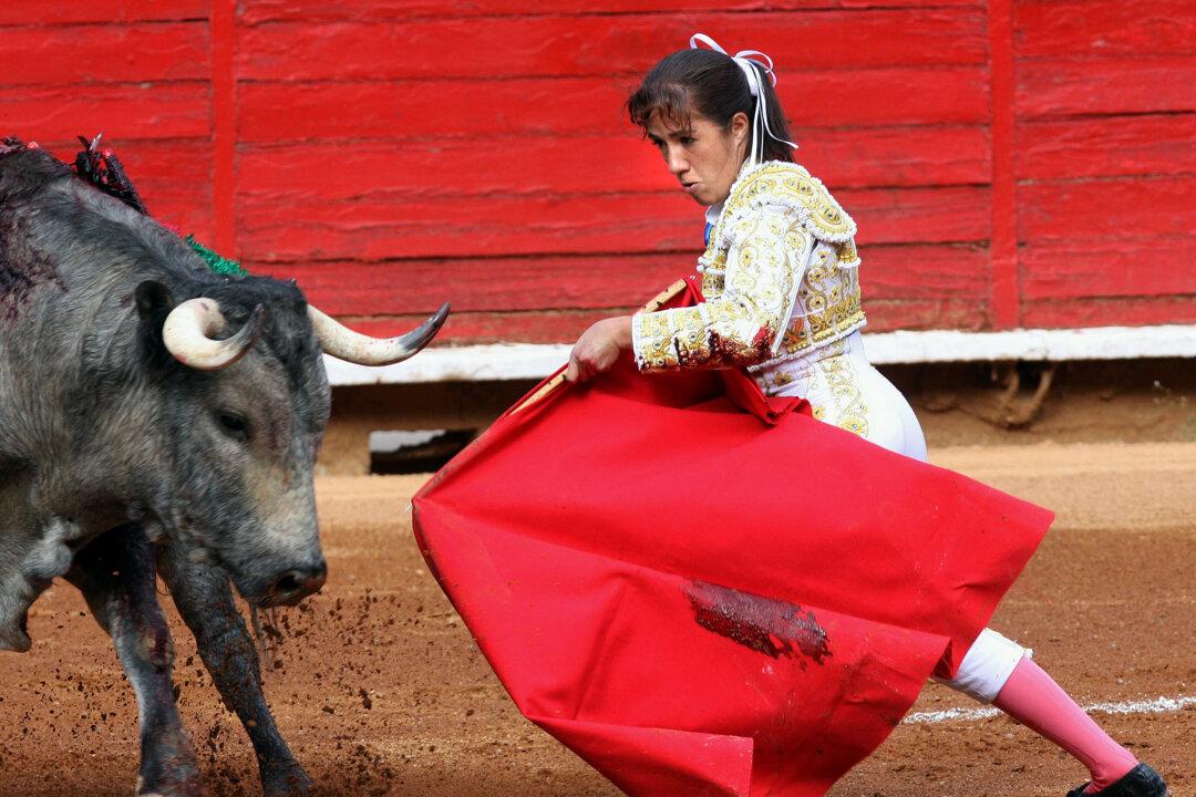 Female Bullfighter Gored in the Face in Mexico Arena