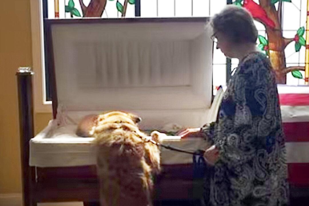Dog Leans Over Beloved Owner’s Casket, How He Bids Farewell Has Everyone in Tears