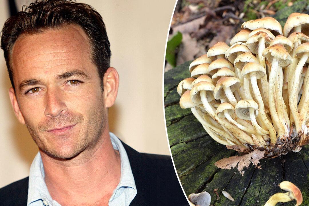 Shock Reveal: Luke Perry’s Daughter Talks About Her Dad’s ‘Eco-Friendly’ Burial Outfit