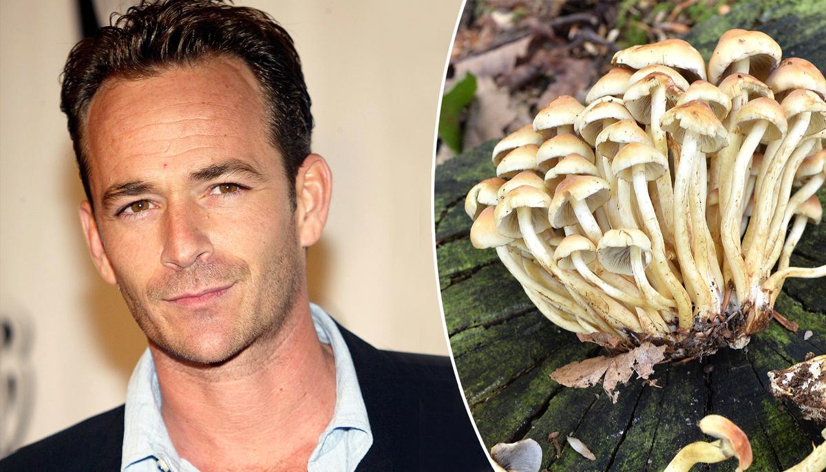 Shock Reveal: Luke Perry’s Daughter Talks About Her Dad’s ‘Eco-Friendly’ Burial Outfit