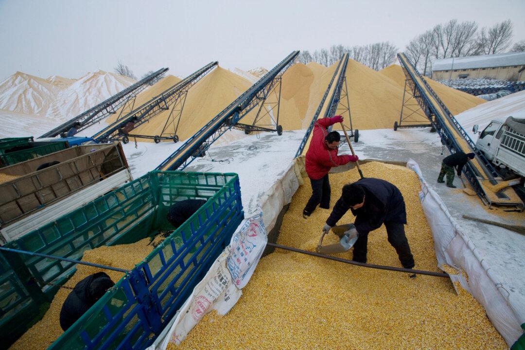 Facing Uncertainty With US, China Checks Grain Reserves to Ensure Enough Domestic Supply