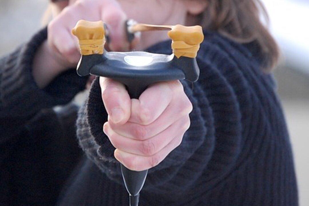 7 Youth Mercilessly Tortured a Goose for Hour and Left Her in Pool of Blood