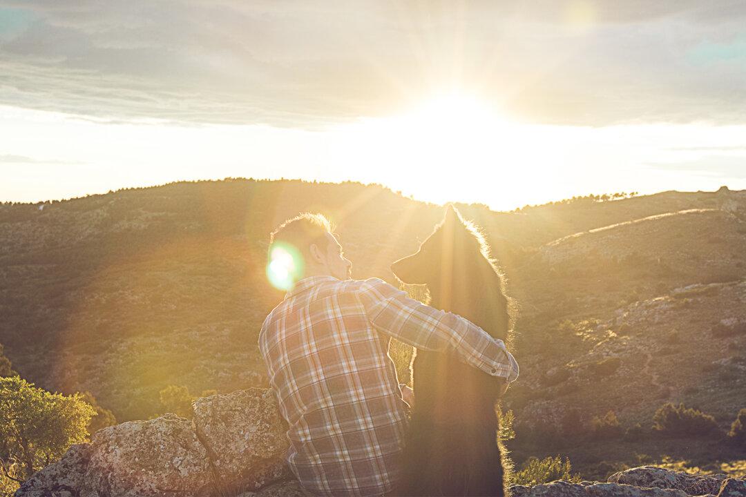 Ex-Army Had to Leave Dog in Iraq. 1 Month Later, They Reunite on the Other Side of the World