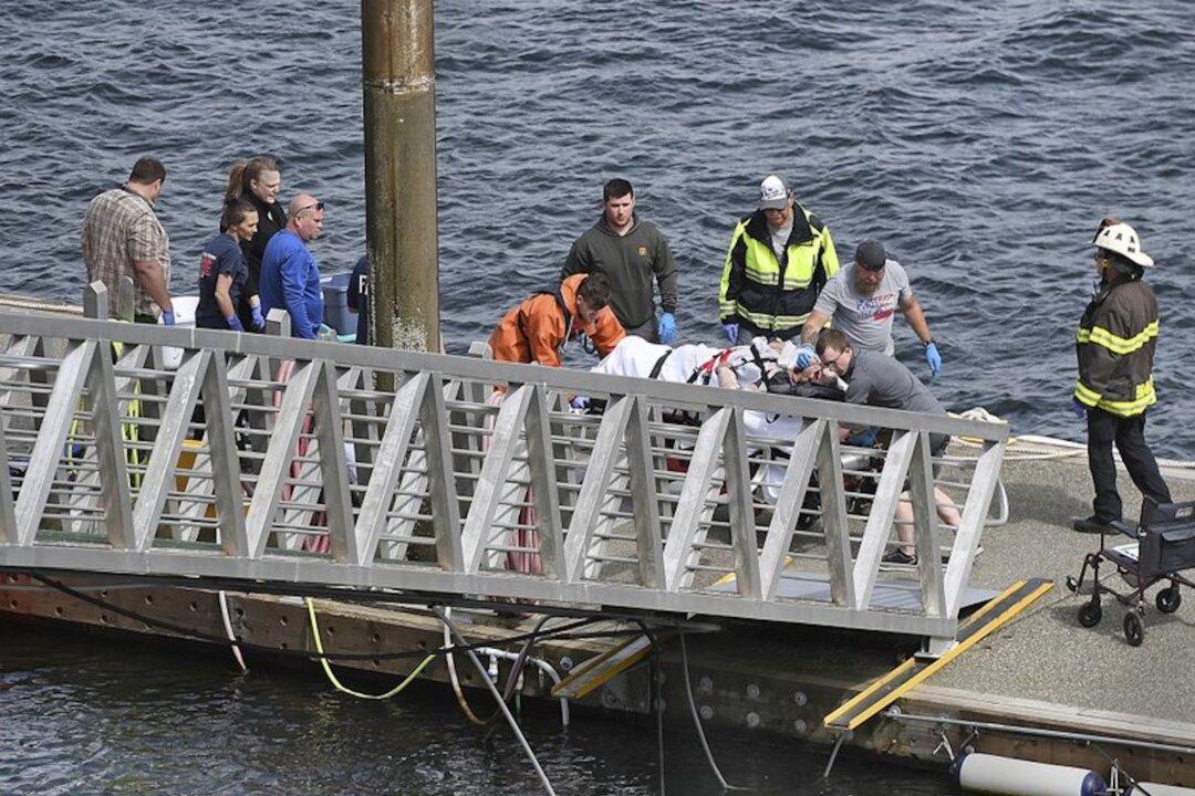 At Least 4 Dead After Two Planes Crash Midair in Alaska