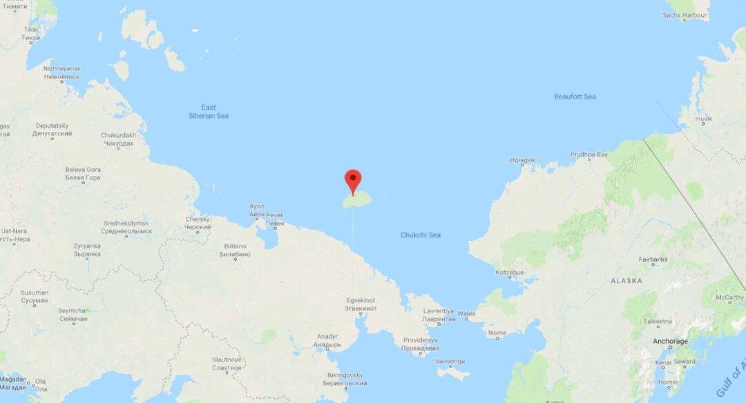 Tourists Capture Photos of Dozens Polar Bears on Remote Island